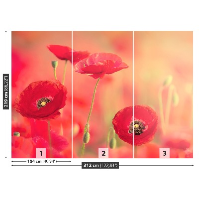 Wallpaper Red poppies