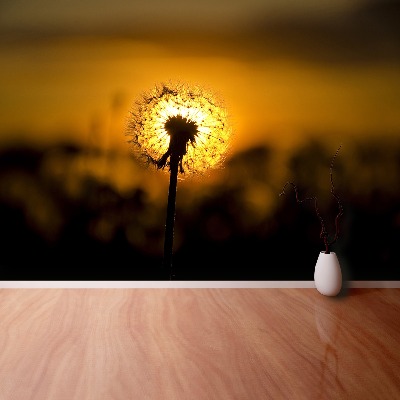 Wallpaper Dandelion