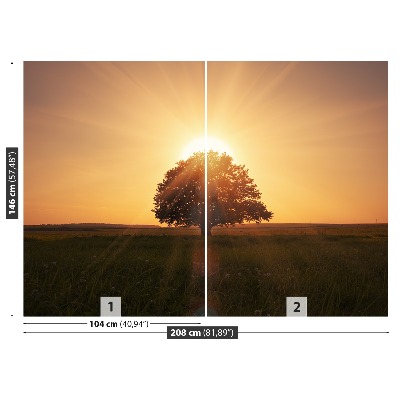 Wallpaper Tree of sunrise