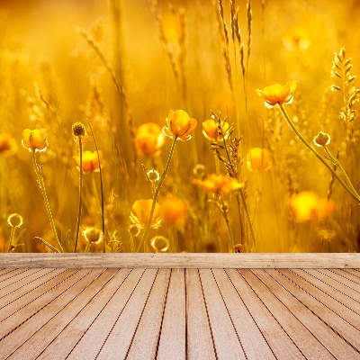 Wallpaper Meadow flowers