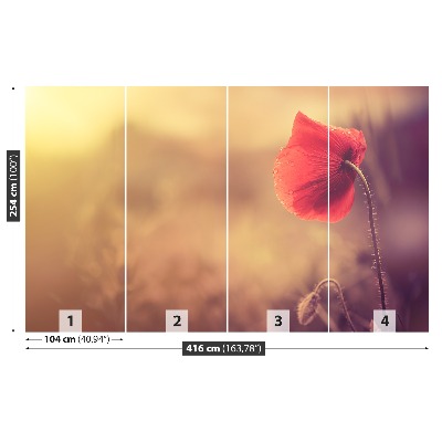 Wallpaper Poppy seed flower