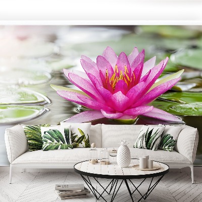 Wallpaper Pink lotus