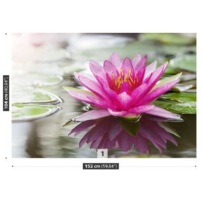 Wallpaper Pink lotus