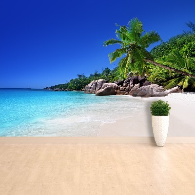 Wallpaper Seychelles beach