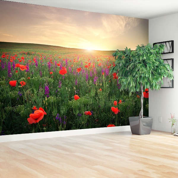 Wallpaper Poppies meadow