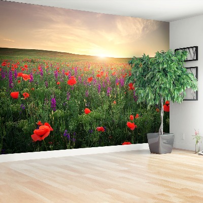 Wallpaper Poppies meadow