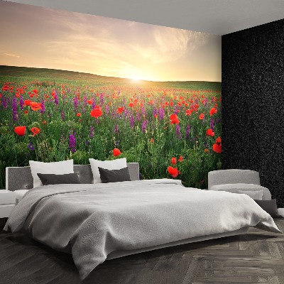 Wallpaper Poppies meadow