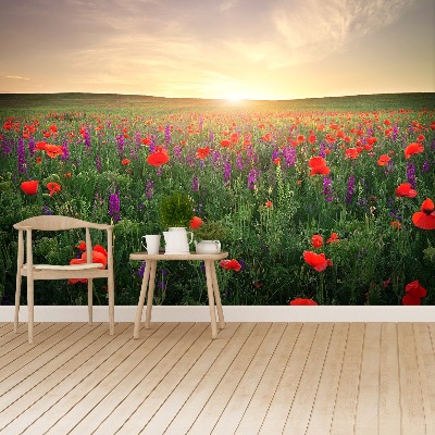 Wallpaper Poppies meadow