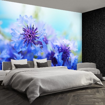 Wallpaper Blue cornflowers