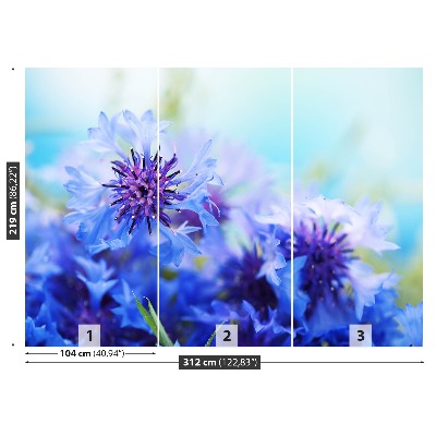 Wallpaper Blue cornflowers