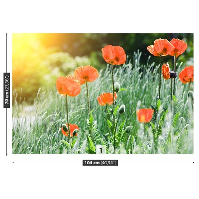 Wallpaper Poppy flowers