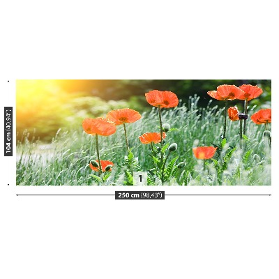 Wallpaper Poppy flowers