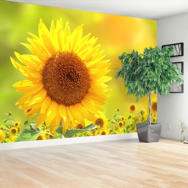 Wallpaper Yellow sunflowers