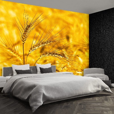 Wallpaper Wheat field