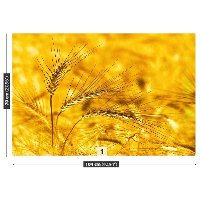 Wallpaper Wheat field