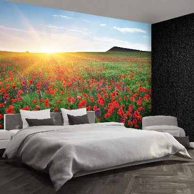 Wallpaper Poppy field