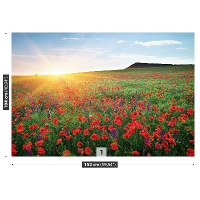 Wallpaper Poppy field