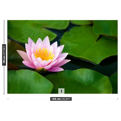 Wallpaper Lotus flower