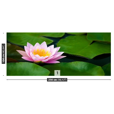 Wallpaper Lotus flower