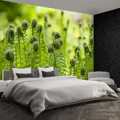 Wallpaper Green fern 
