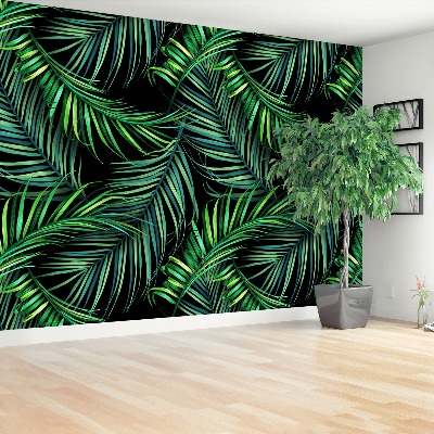 Wallpaper Palm leaves