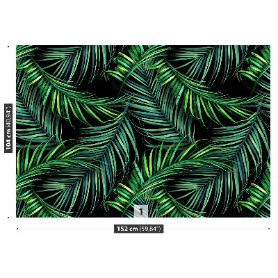 Wallpaper Palm leaves