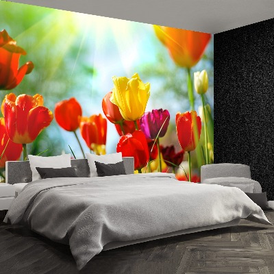 Wallpaper Flowers of tulips