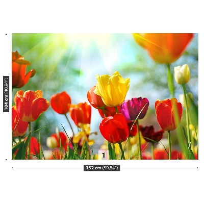 Wallpaper Flowers of tulips