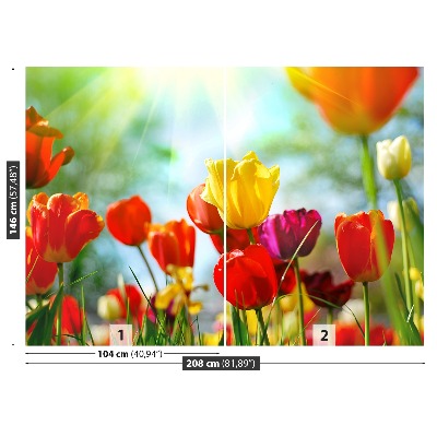 Wallpaper Flowers of tulips