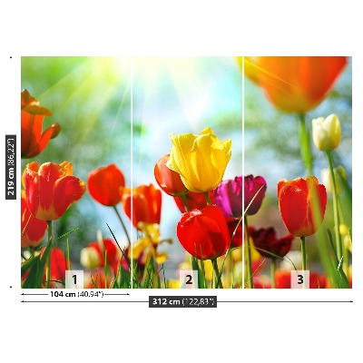 Wallpaper Flowers of tulips