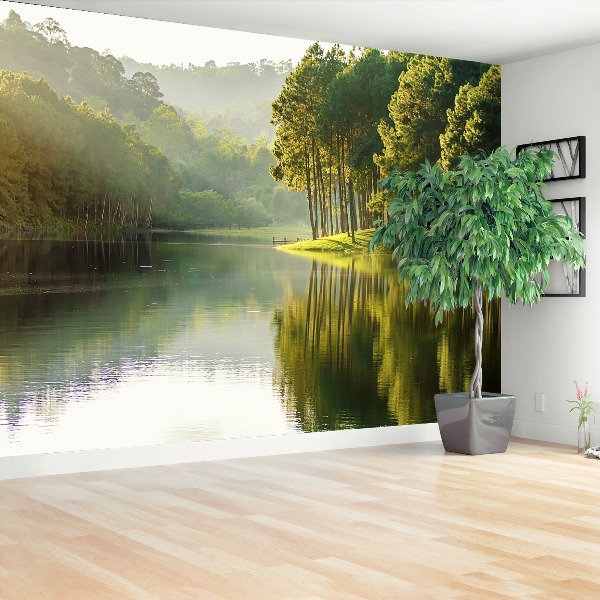 Wallpaper Pine trees