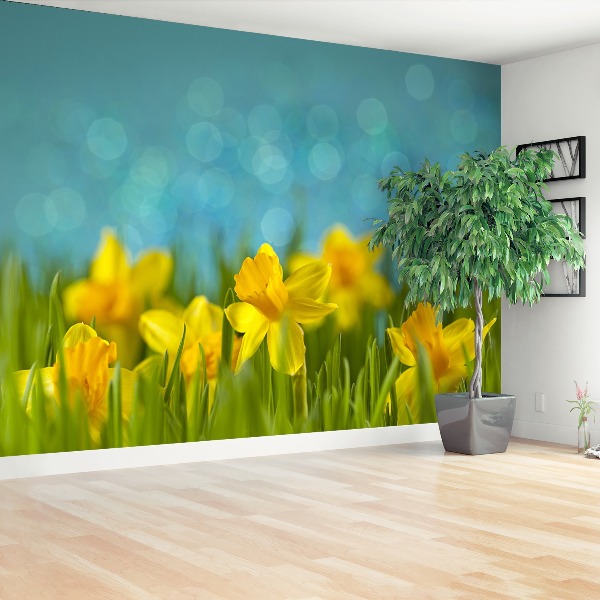 Wallpaper Daffodils