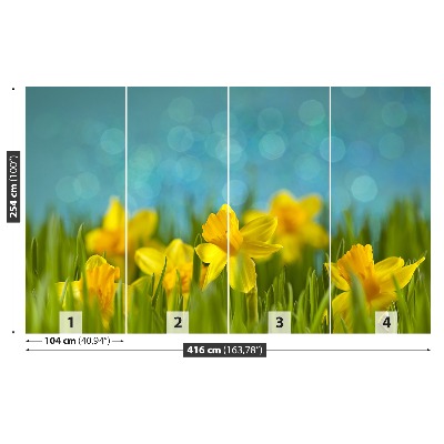 Wallpaper Daffodils