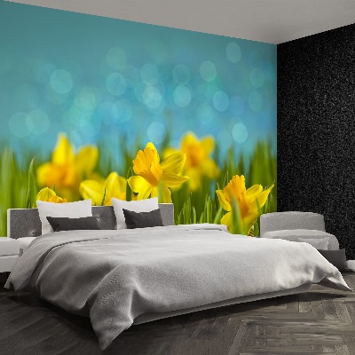 Wallpaper Daffodils