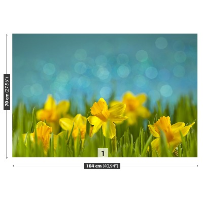 Wallpaper Daffodils