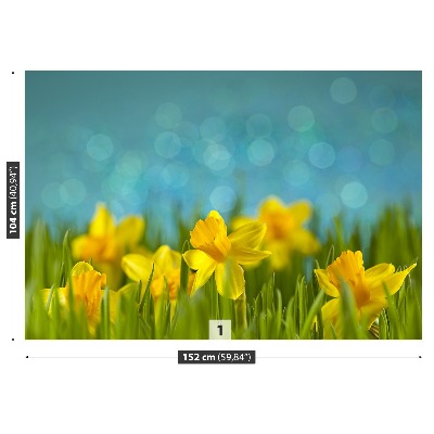 Wallpaper Daffodils