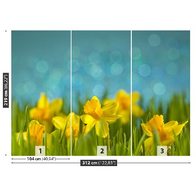 Wallpaper Daffodils