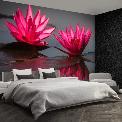 Wallpaper Pink water lilies