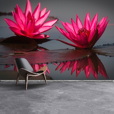 Wallpaper Pink water lilies