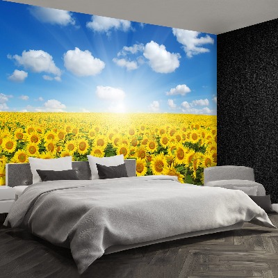 Wallpaper Field of sunflowers