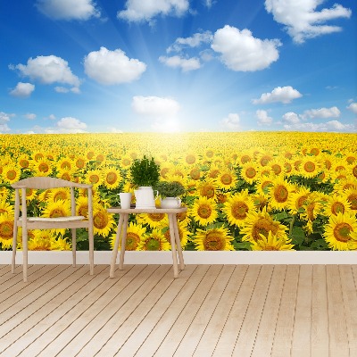 Wallpaper Field of sunflowers