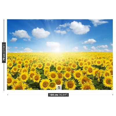 Wallpaper Field of sunflowers