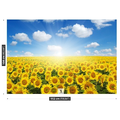 Wallpaper Field of sunflowers