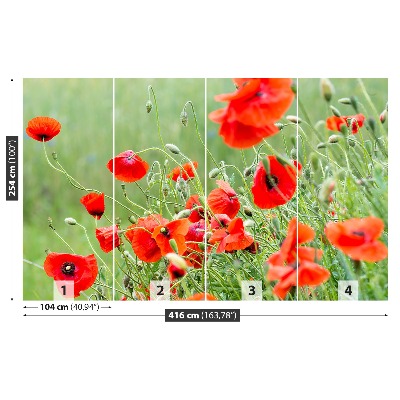 Wallpaper Field of poppies