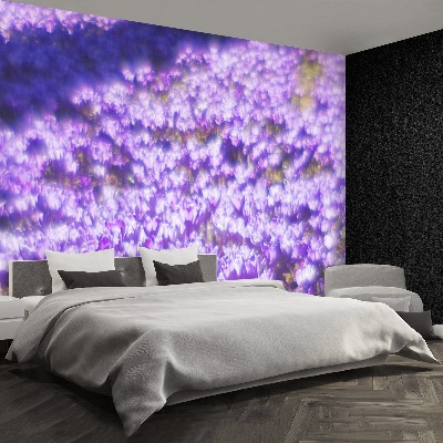 Wallpaper Violet flowers