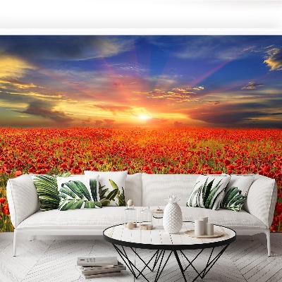 Wallpaper Field of poppies