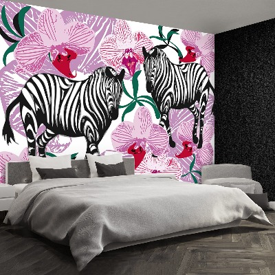 Wallpaper Zebras orchid flower