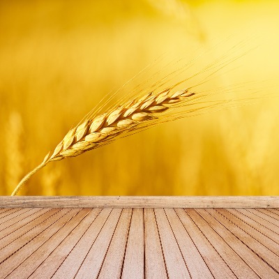 Wallpaper Ear of wheat