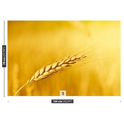 Wallpaper Ear of wheat