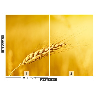 Wallpaper Ear of wheat